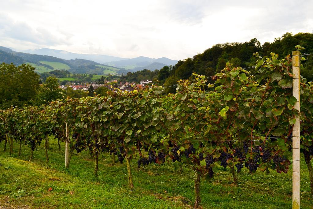 Kuner Weitzel Landgasthof Frohe Einkehr Gbr Merzhausen Exterior foto